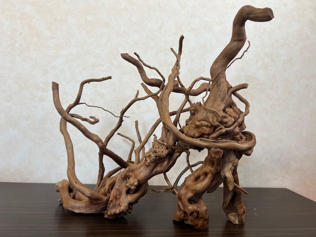 13004 ブランチウッド　流木　アクアリウム　沈水確認済