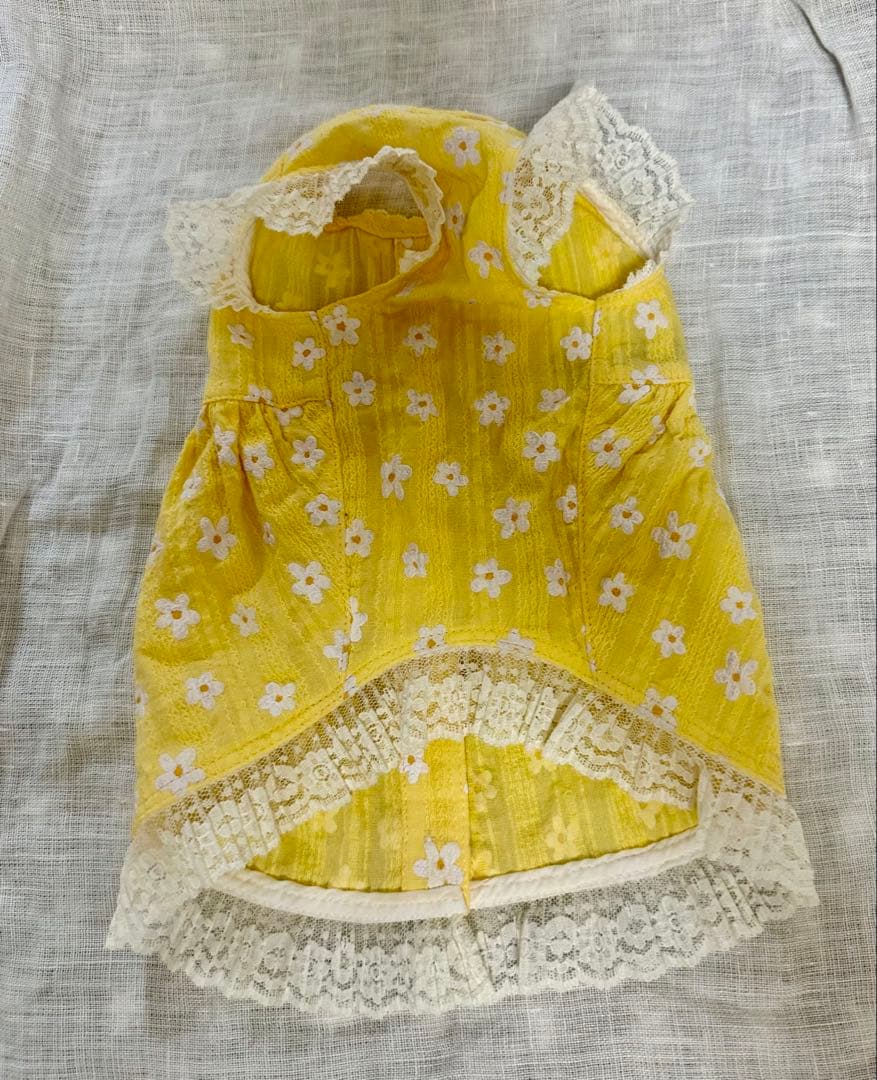 アトリエgg⭐︎ シークワーサーの花 ⭐︎ワンピース⭐︎１ハーフ