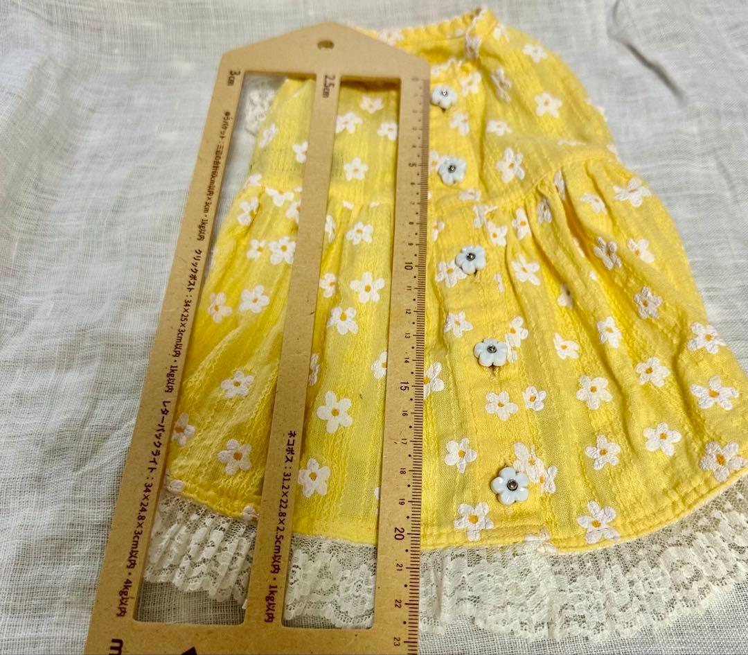 アトリエgg⭐︎ シークワーサーの花 ⭐︎ワンピース⭐︎１ハーフ