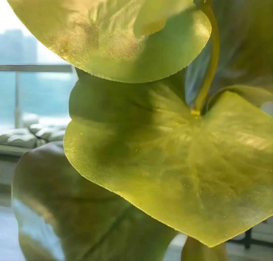 光触媒　人工観葉植物　ウォールグリーン　フェイクグリーン　スリムシーグレープ11