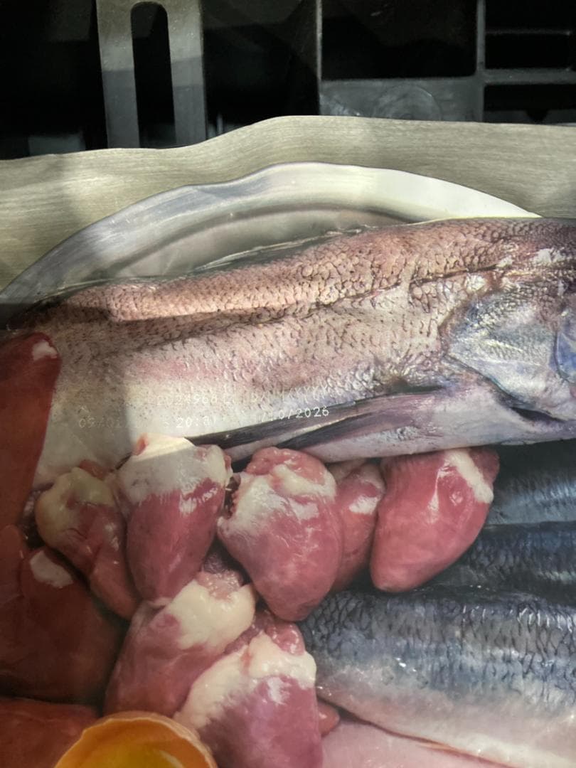 正規品 カナダ産 Orijinオリジン パピー 11.4kg