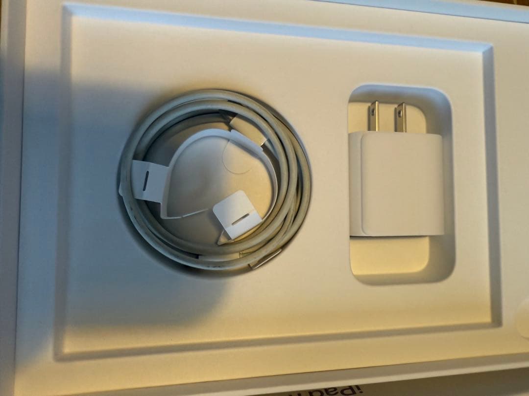 iPad mini 第6世代 Wi-Fi 256GB バッテリー容量:97%