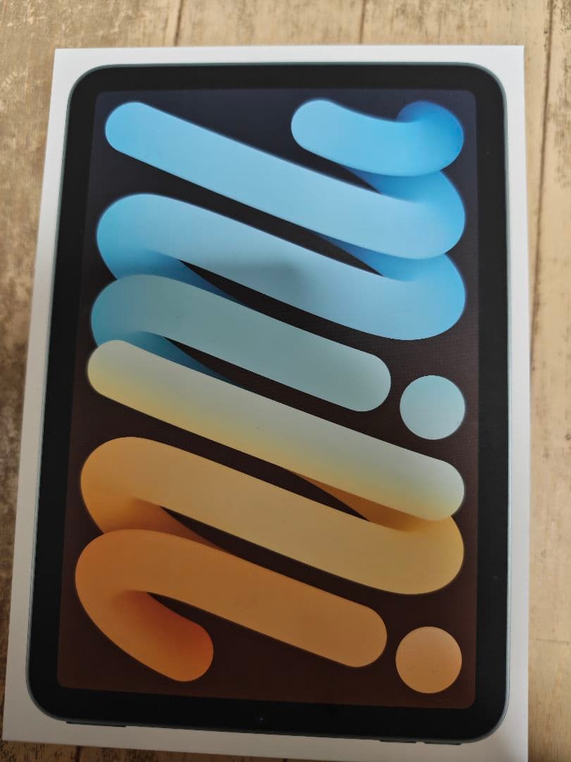 iPad mini (A17 Pro) 128GB 　セルラーモデル