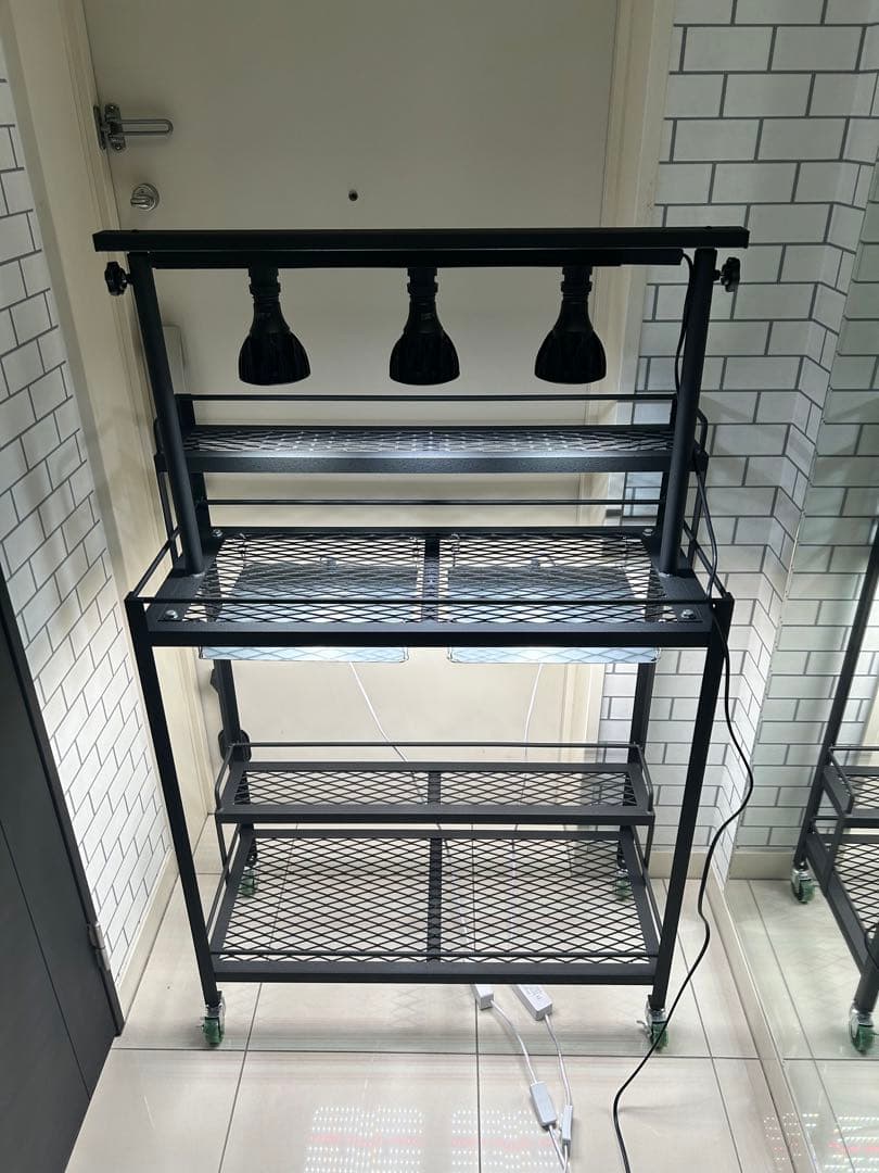 キャスター付植物棚　アイアン棚　パキプス　アイアンシェルフ　アガベ　育成ライト