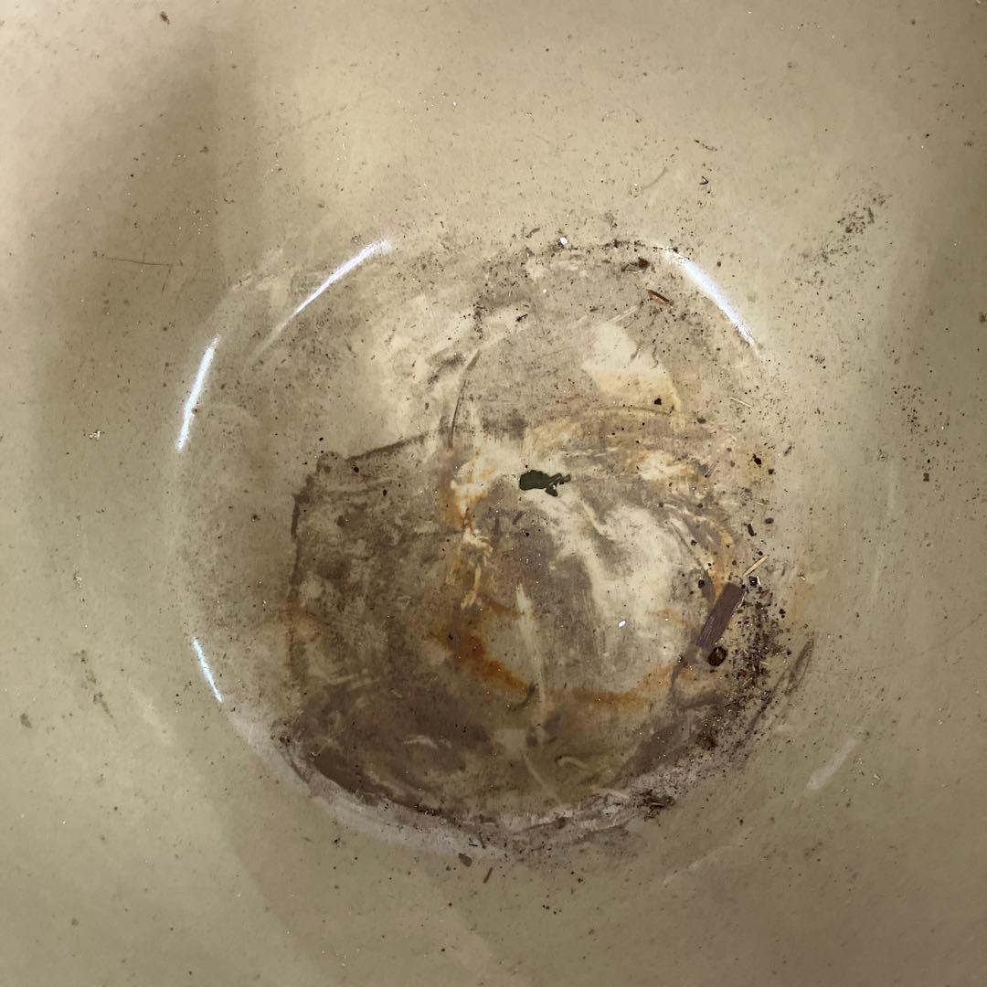 C-5 昭和レトロ アンティーク 陶器製 大型ボウル 火鉢 水鉢 睡蓮鉢