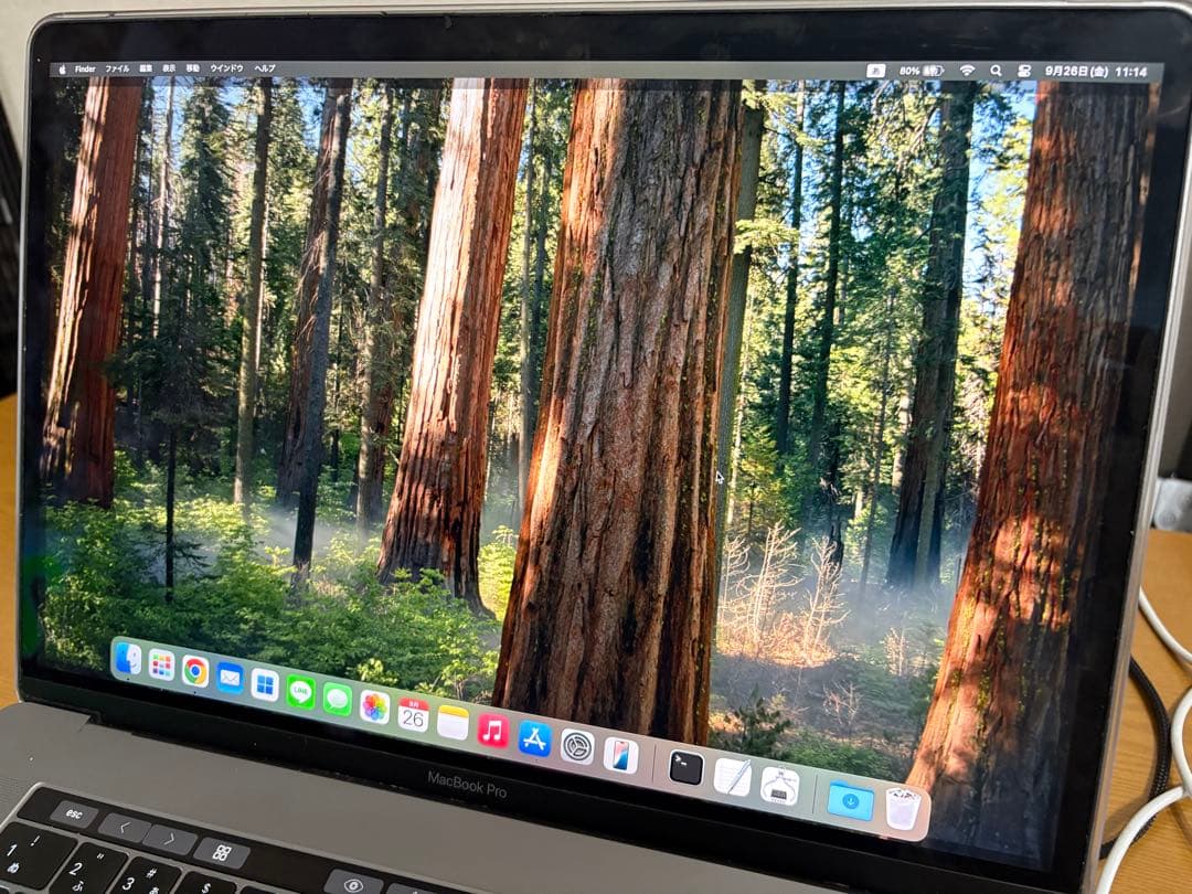 MacBook本体 MacBook Pro 2018 15 inch i9 32GB 512GB