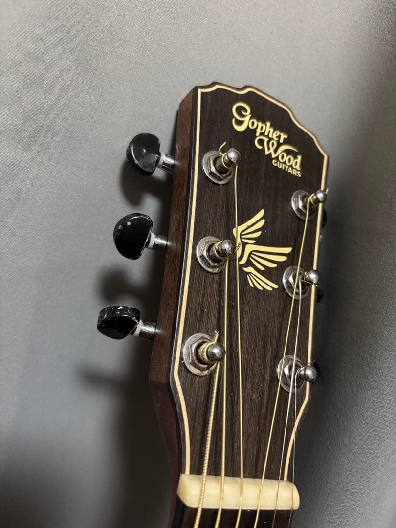 Gopher Wood アコースティックギター ギターケース　新品弦二つ付き