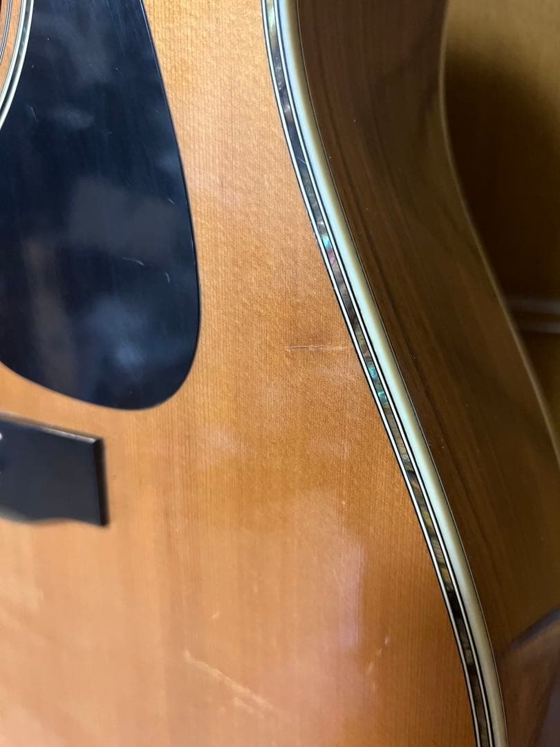 ギター MORRIS MD-515