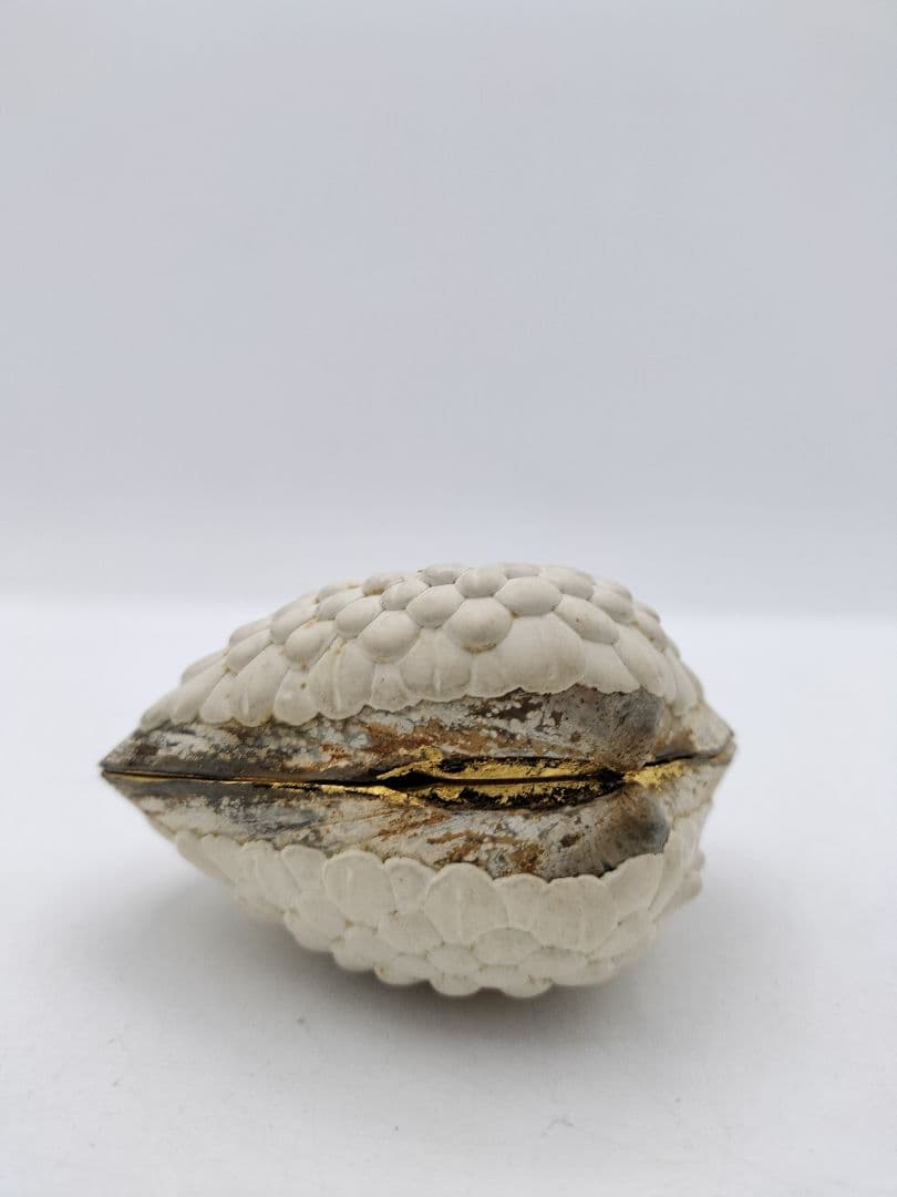 c453 貝香合 置上蛤 有職　島津豊泉 木箱 茶道具 古物