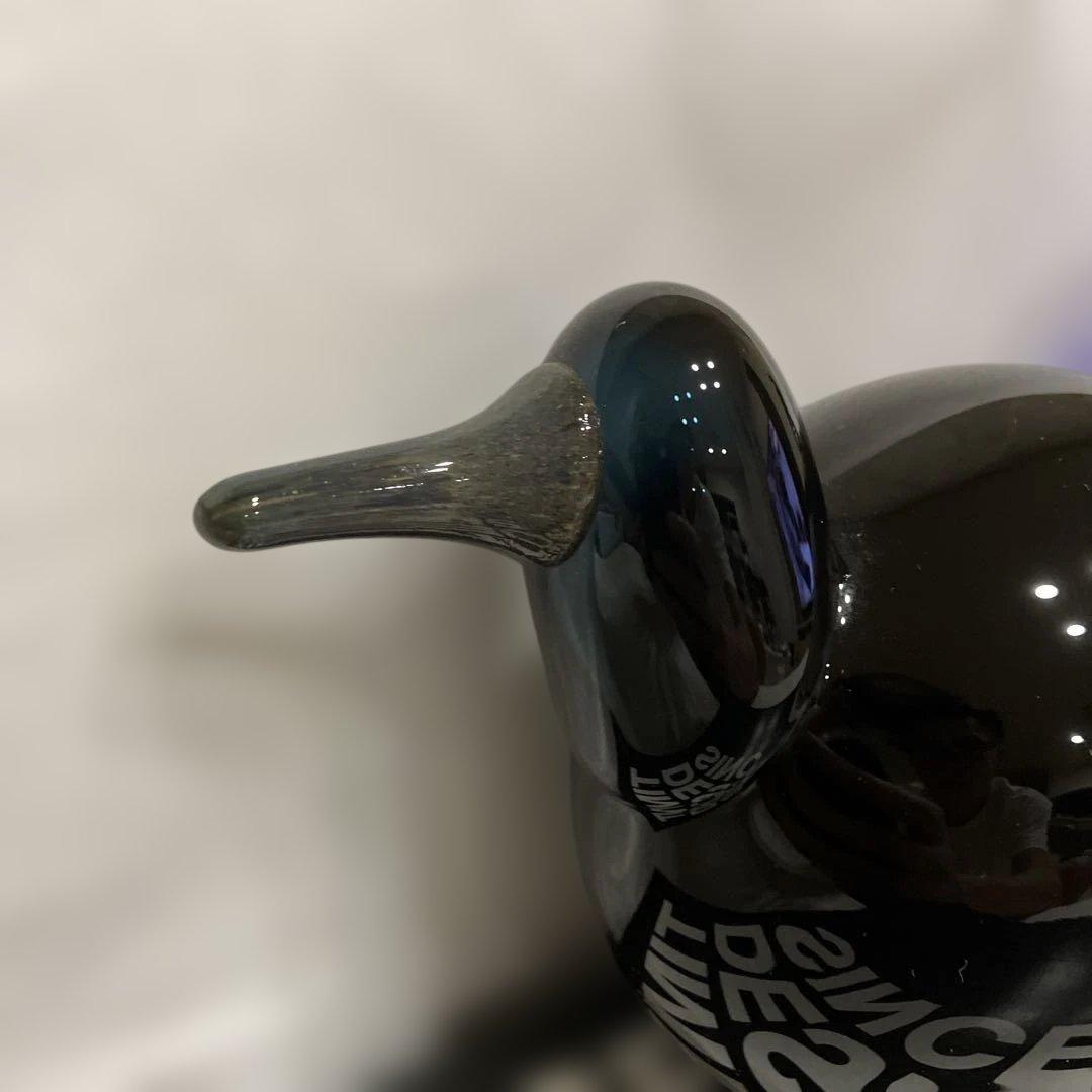  バード　キューヒュー　SCOPE別注