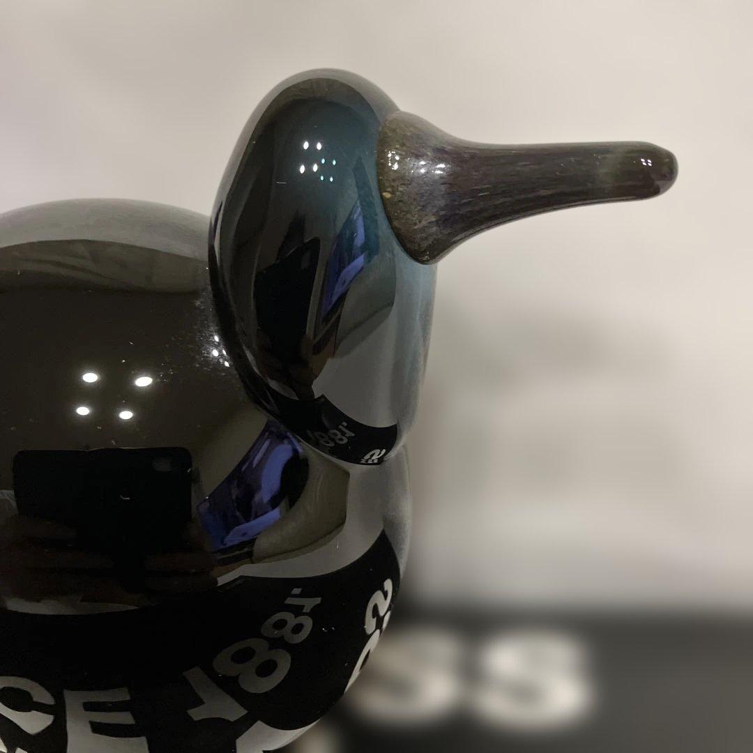  バード　キューヒュー　SCOPE別注