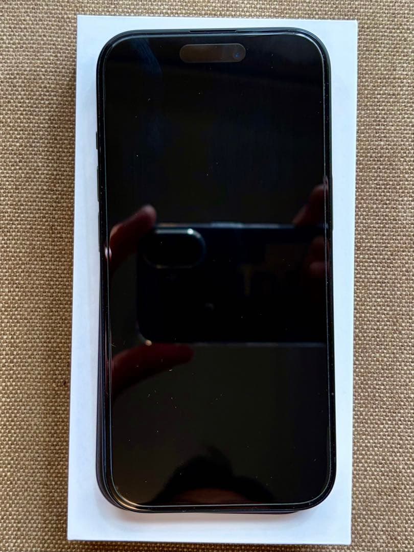 【美品&おまけ付き】iPhone 15 256GB ブラック SIMフリー