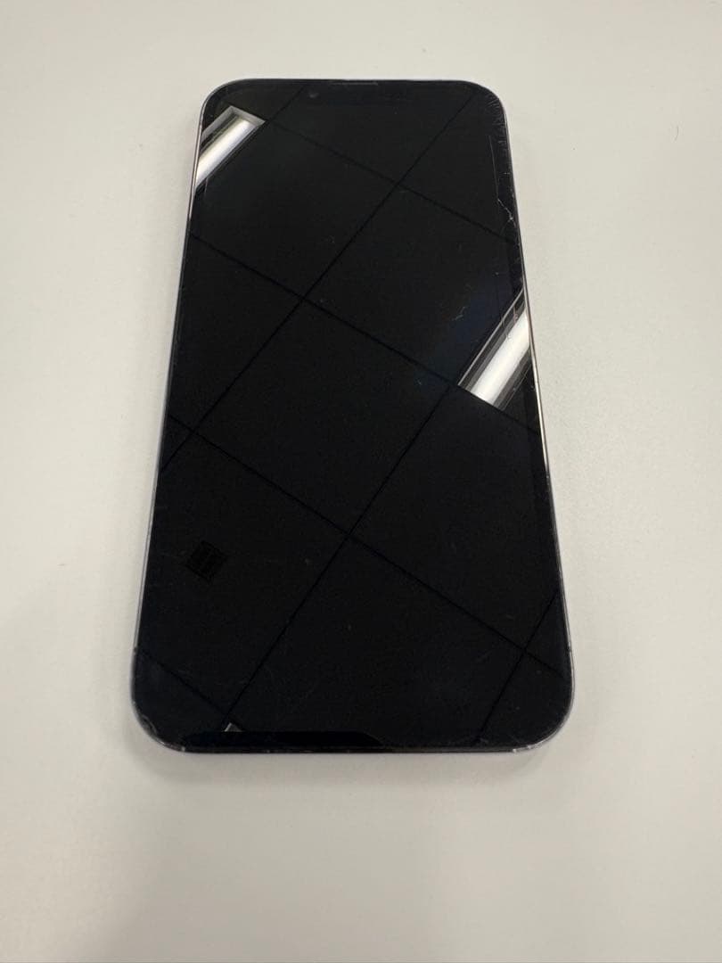 Apple iPhone 13Pro Max本体