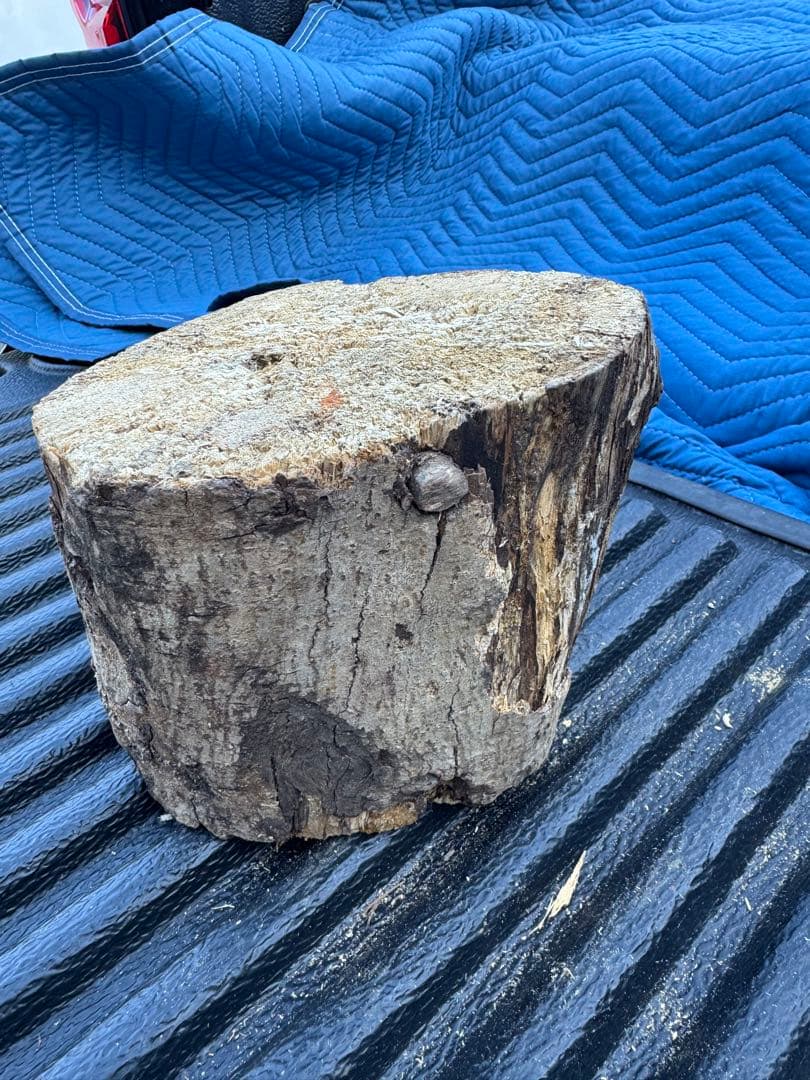 ベトナム材　VN材　15cm×20cm 産卵木