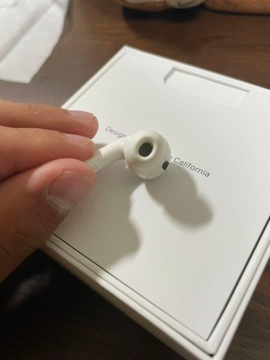AirPods Pro 両耳　ケースなし