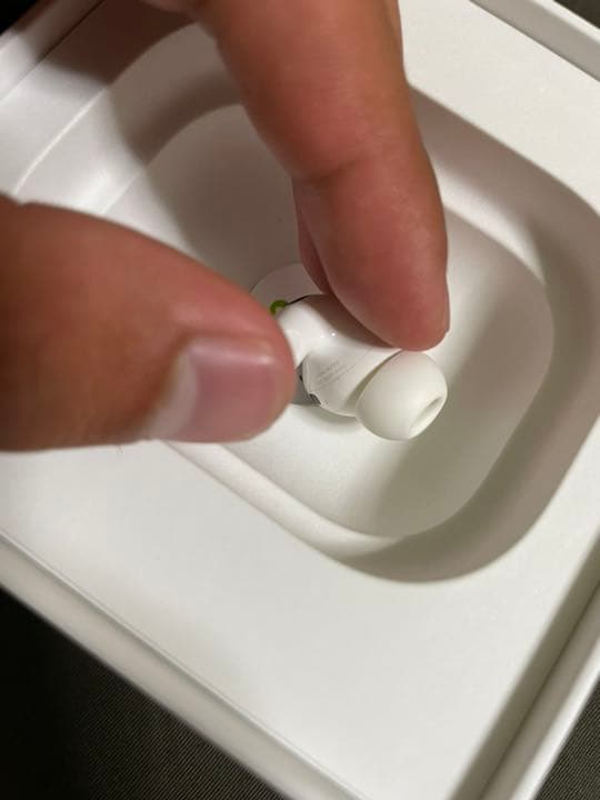 AirPods Pro 両耳　ケースなし