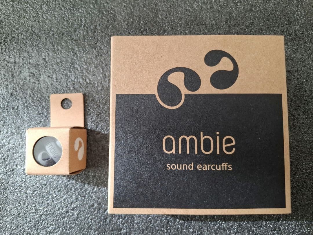 フォースambie AM-TW02 Black×Black