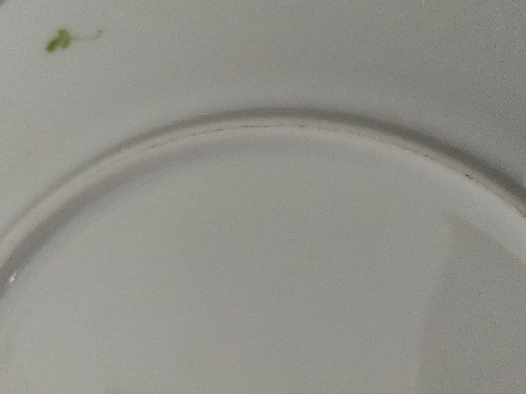 HEREND ウィーンの薔薇 プレート19cm 5枚セット