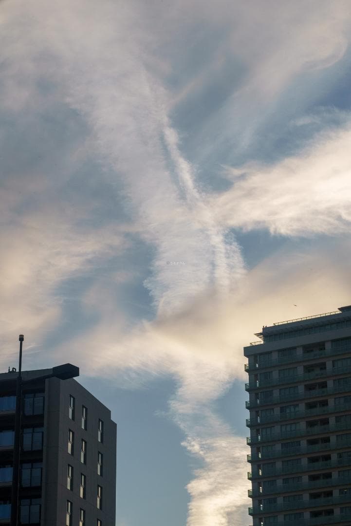 虹が出る！沈胴の巨人！Leica Elmar M 90mm F4 沈胴