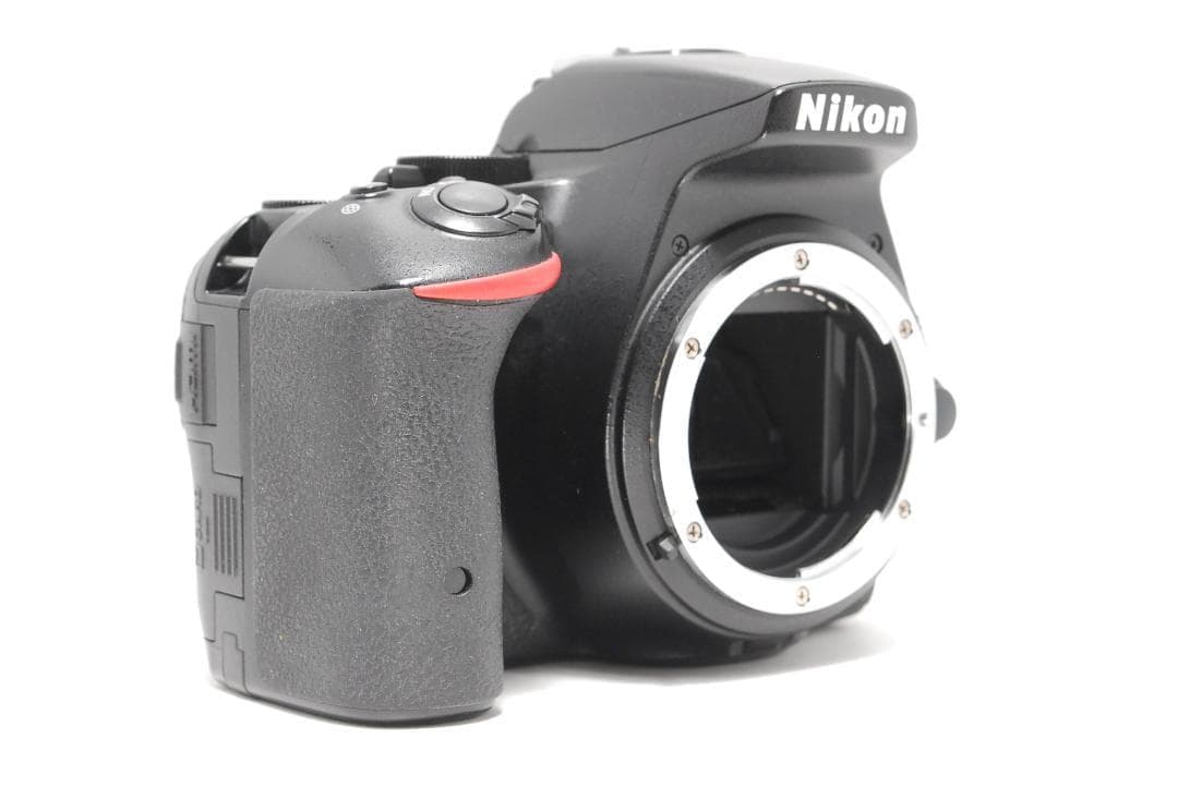 【美品】Nikon D5500　Wi-Fi搭載　すぐスマホ転送　タッチパネル撮影