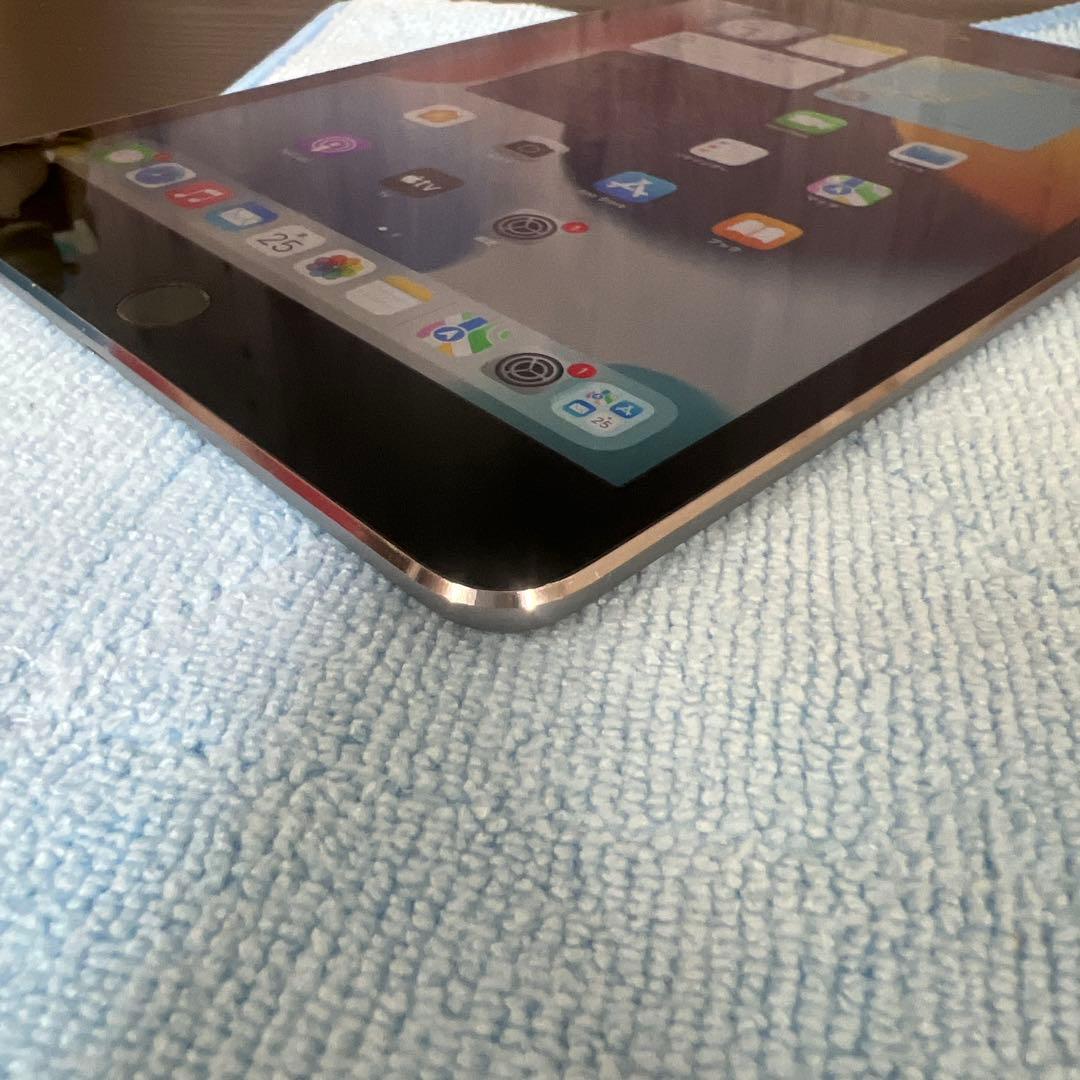 Apple iPad mini 4 128GB セルラーモデル