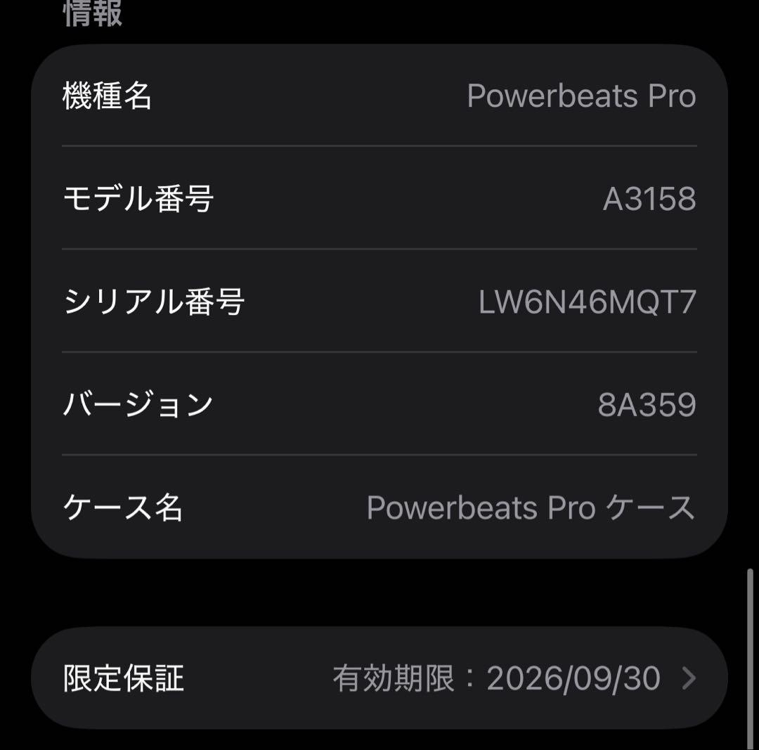 Beats power beats pro 2 ジェットブラック