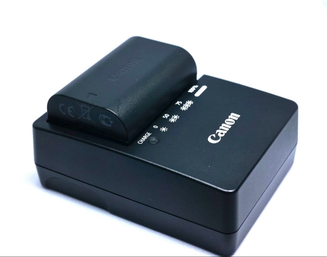 キヤノンCanon EOS 6D デジタル一眼レフカメラ