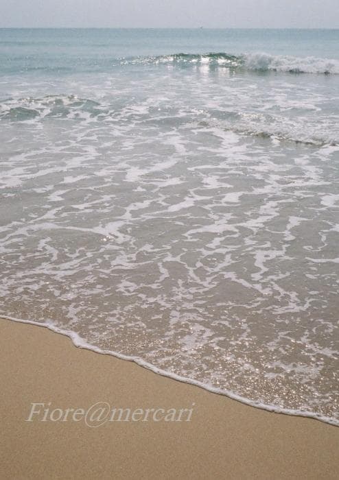 minolta repo ミノルタ レポ ブラック フィルムカメラ ハーフサイズ