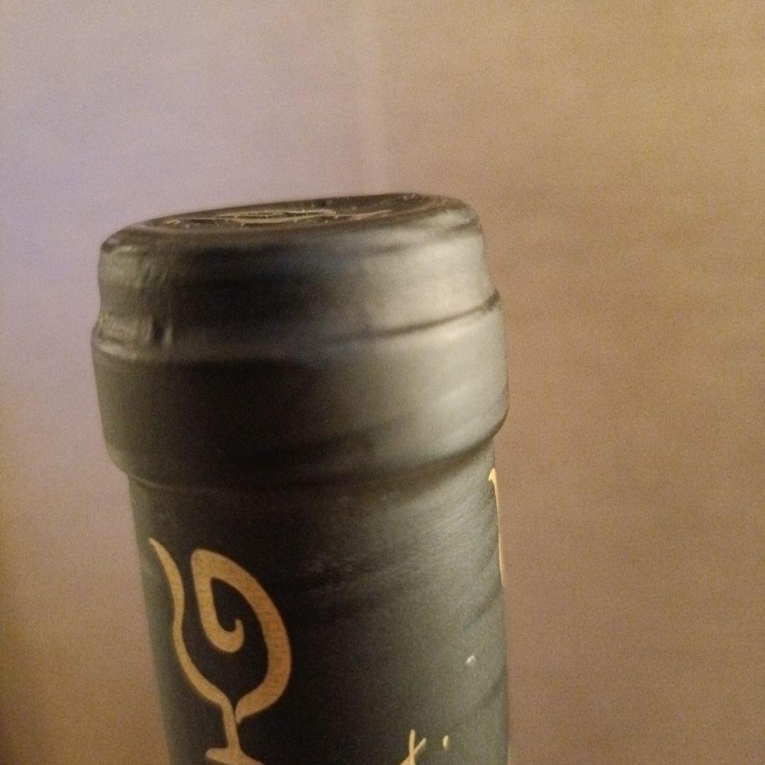 Fixin 2020 Lou Dumont フィサン(ルー・デュモン)