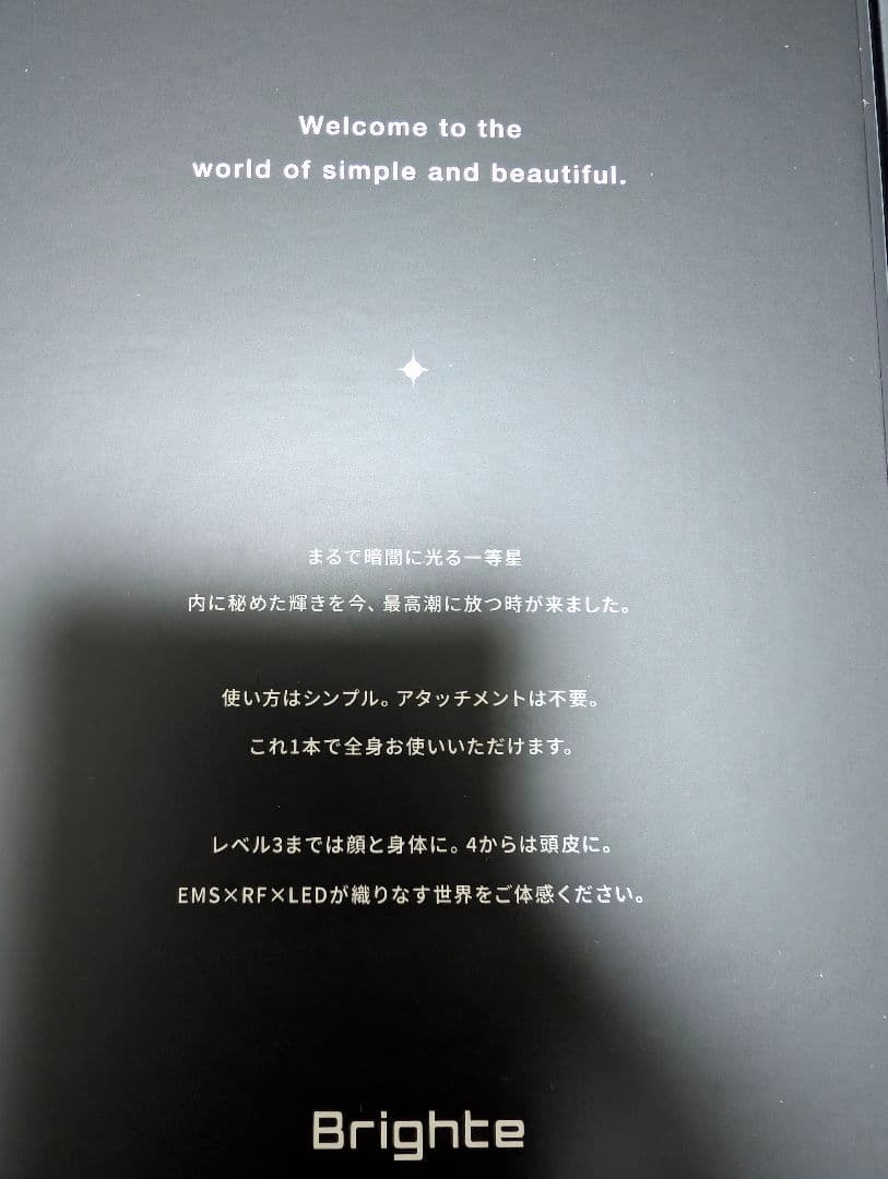 期間限定値下げ★ブライトエレキブラシ