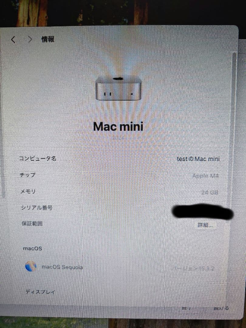 S*i様 Apple M4 Mac mini 24GB 256GB