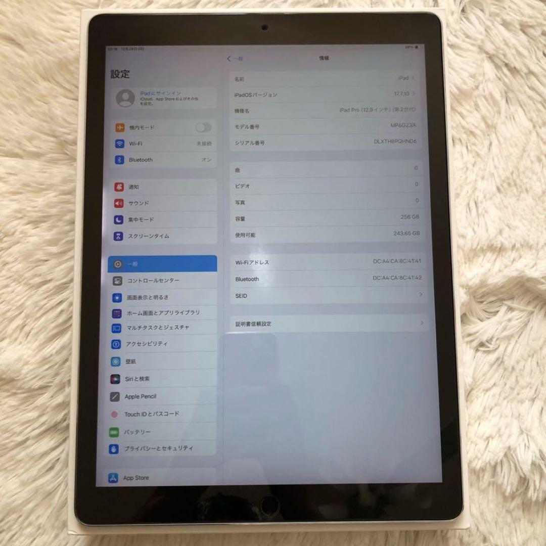 【年始割】iPad Pro 12.9 256GB 付属品多数 【すぐ発送】