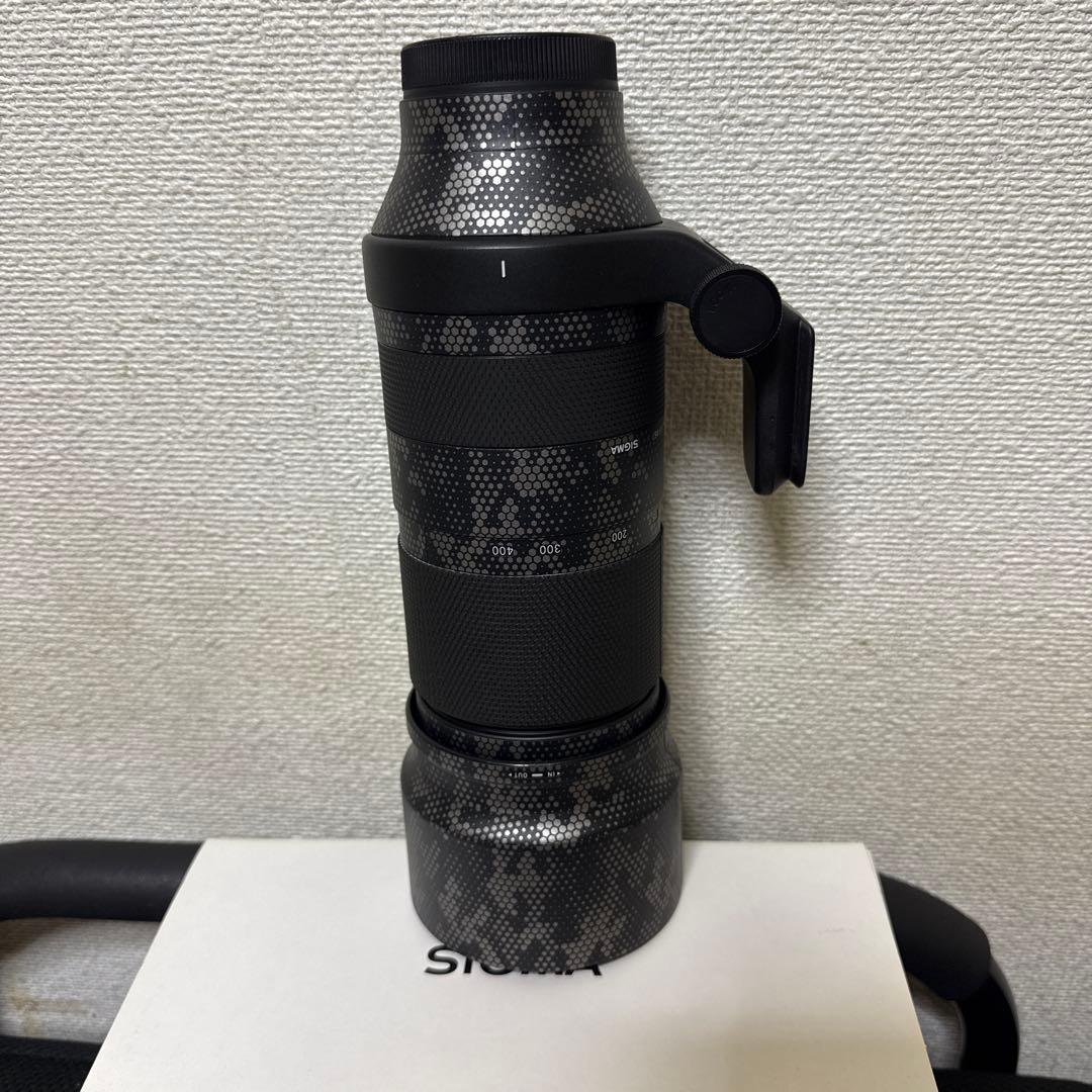sigma 100-400mm F5-6.3 Eマウント