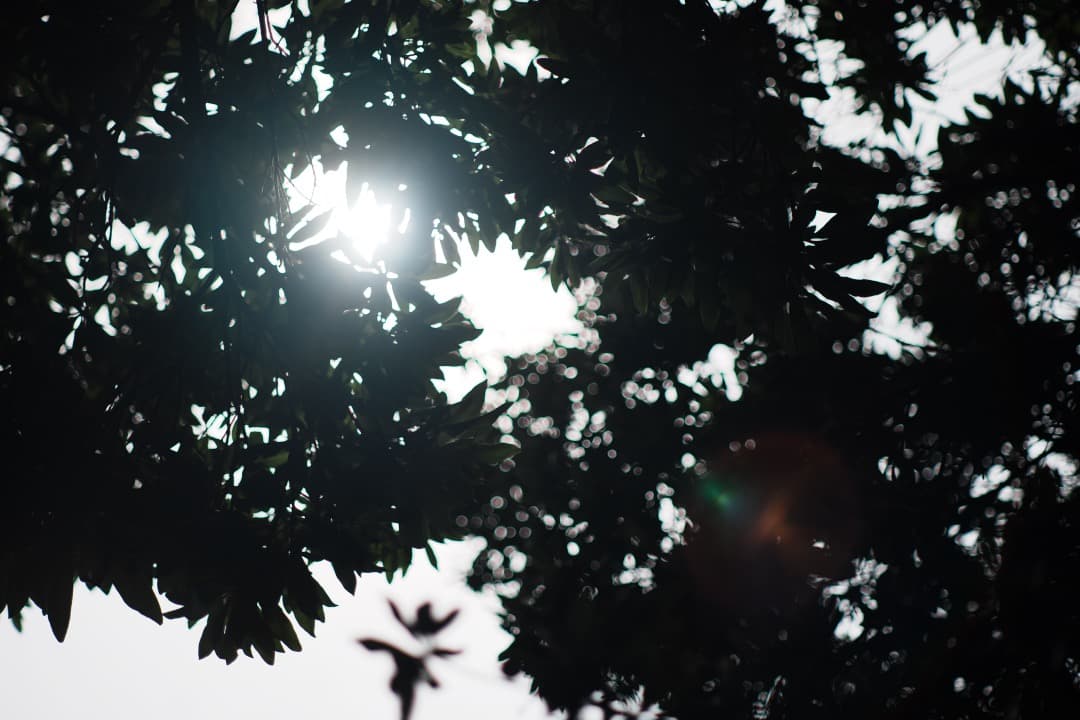 【極美品】動作◎ ニコン Ai Nikkor 85mm F2 745