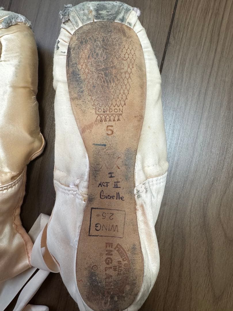 サイン入りトゥシューズ　マリアネラヌニェス　フリード