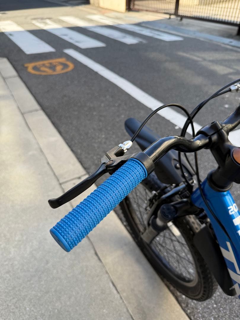 大阪TREKキッズバイク Precaliber 20 身長114～132cm