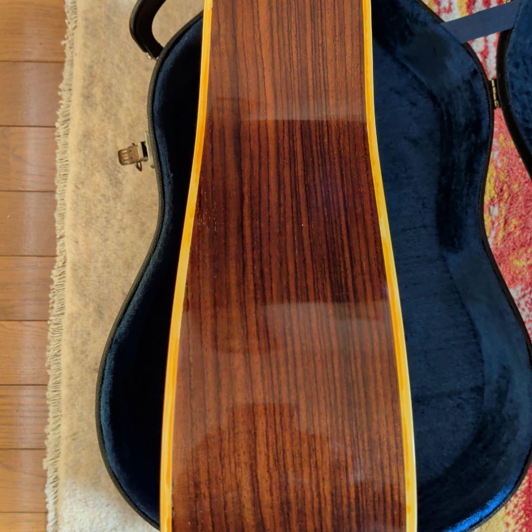 アコースティックギターRidar R350custom-model