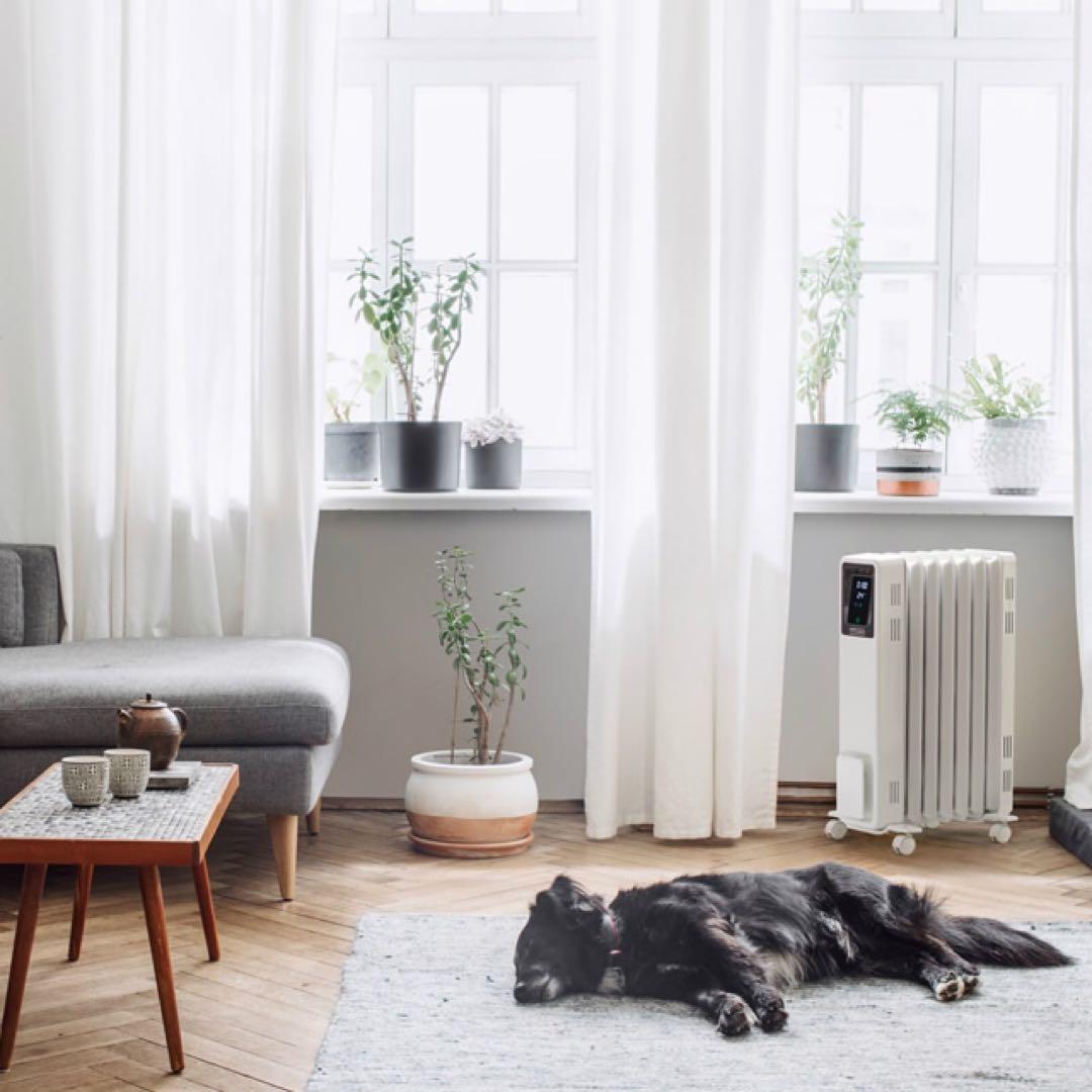 Dimplex（ディンプレックス） オイルフリーヒーター B04 ホワイト