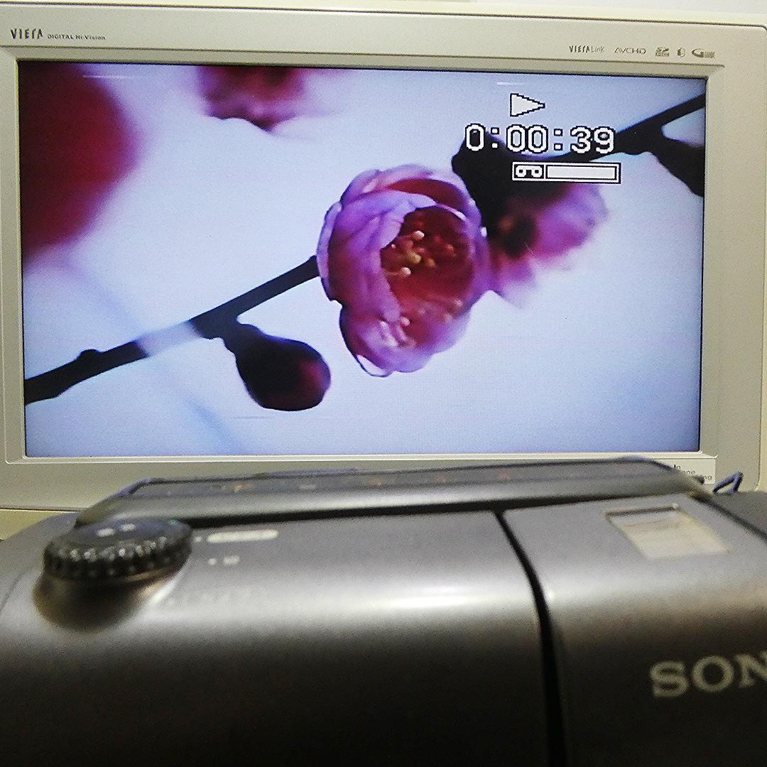 動作良好 VideoHi8 ソニーCCD-TR11 8ミリビデオ　DVD化に最適