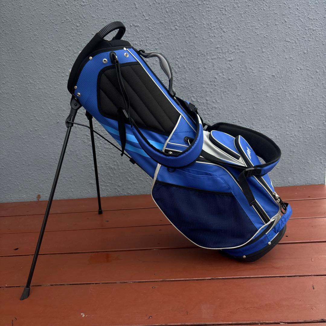 ホンマキャディーバック