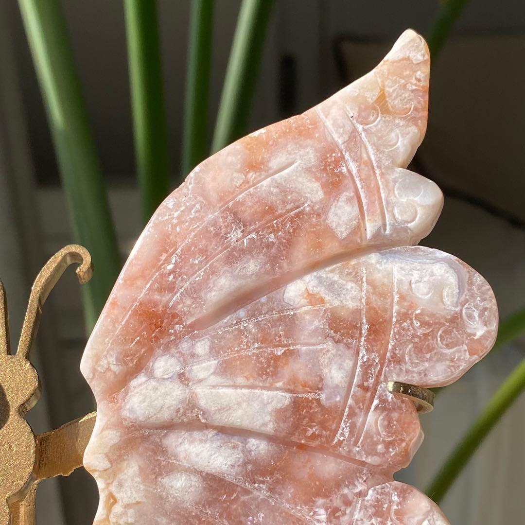 ヤシの実様　お受け取りまでのご確認用ページく