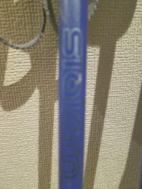 STREULE 120cm ジュニアスキー板　 90cmストックセット