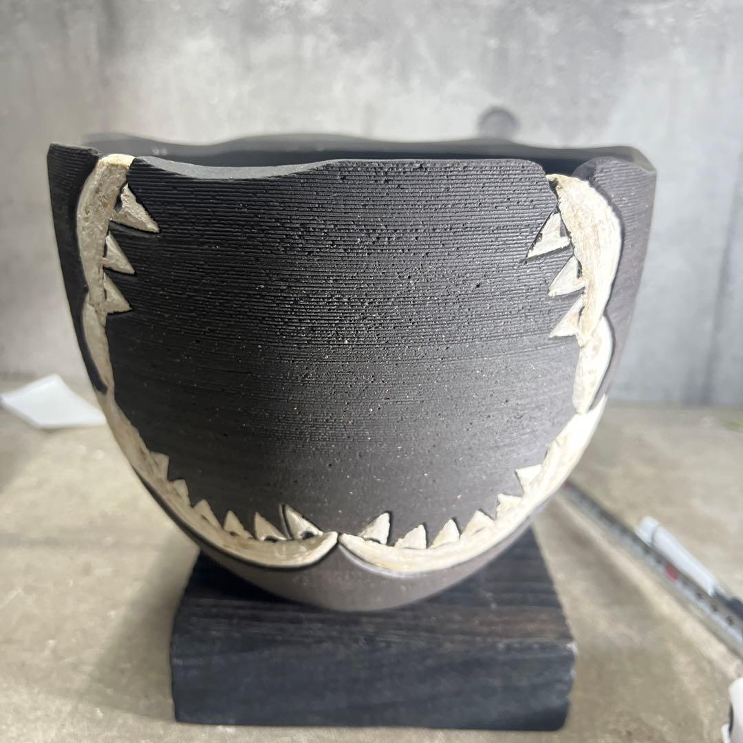 リー樣確認手作植木鉢 LLサイズ 検（ 塊根植物 グラキリス パキプス )