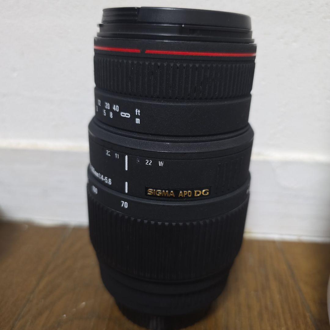 SIGMA 望遠 APO DG 70-300mm F4-5.6 DG MACRO