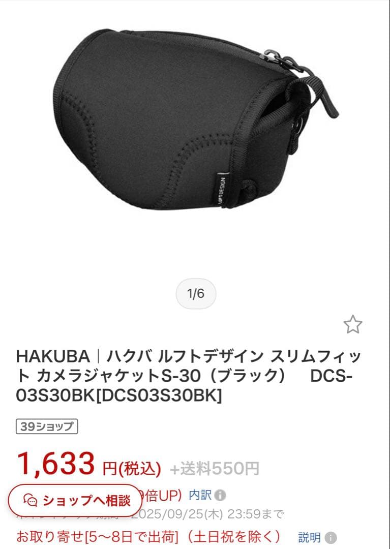 【美品】SONY ZV-E10L パワーズームレンズキット