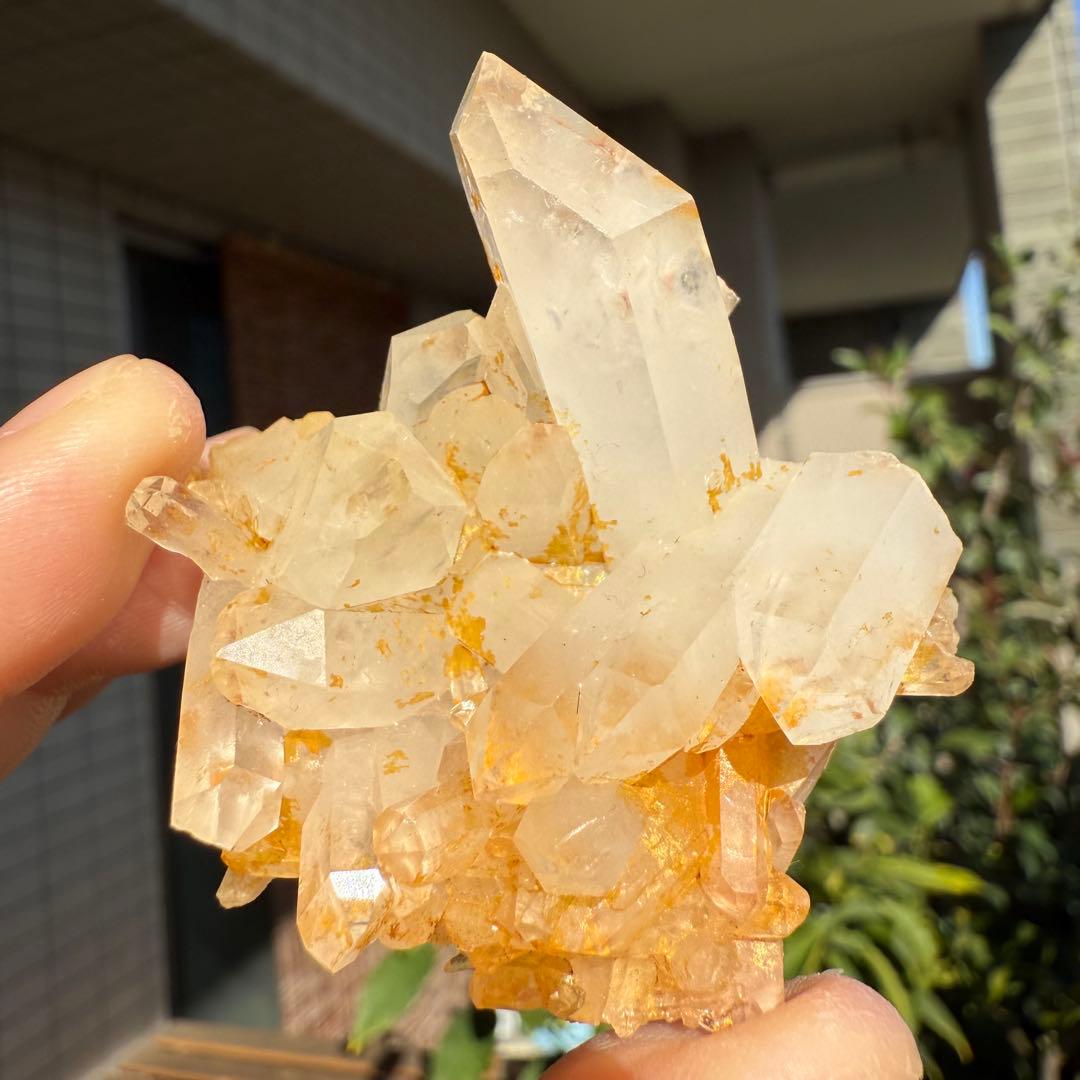 n.♡様　確認用