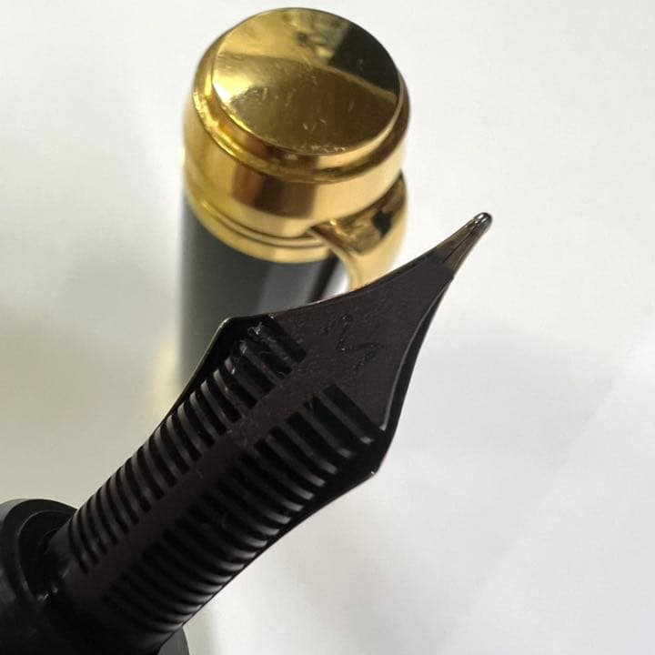 AURORA アウロラ タレンタム D12Nゴールドブラック 中字 M