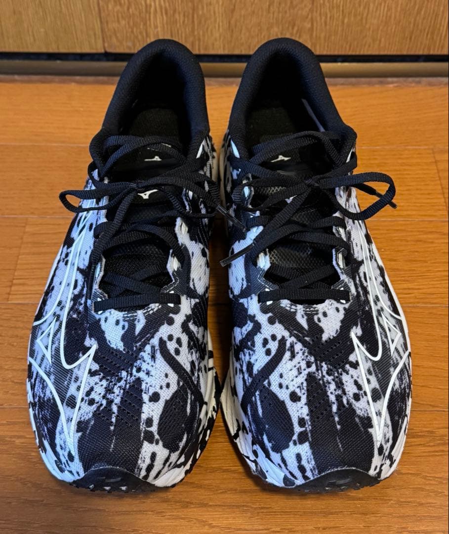 ミズノ ウエーブリベリオンプロ 書き初めカラー