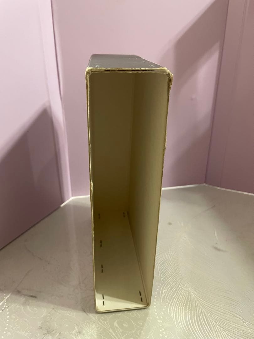 少林寺拳法教範　指導者専用 門外秘　宗道臣　ケース付き