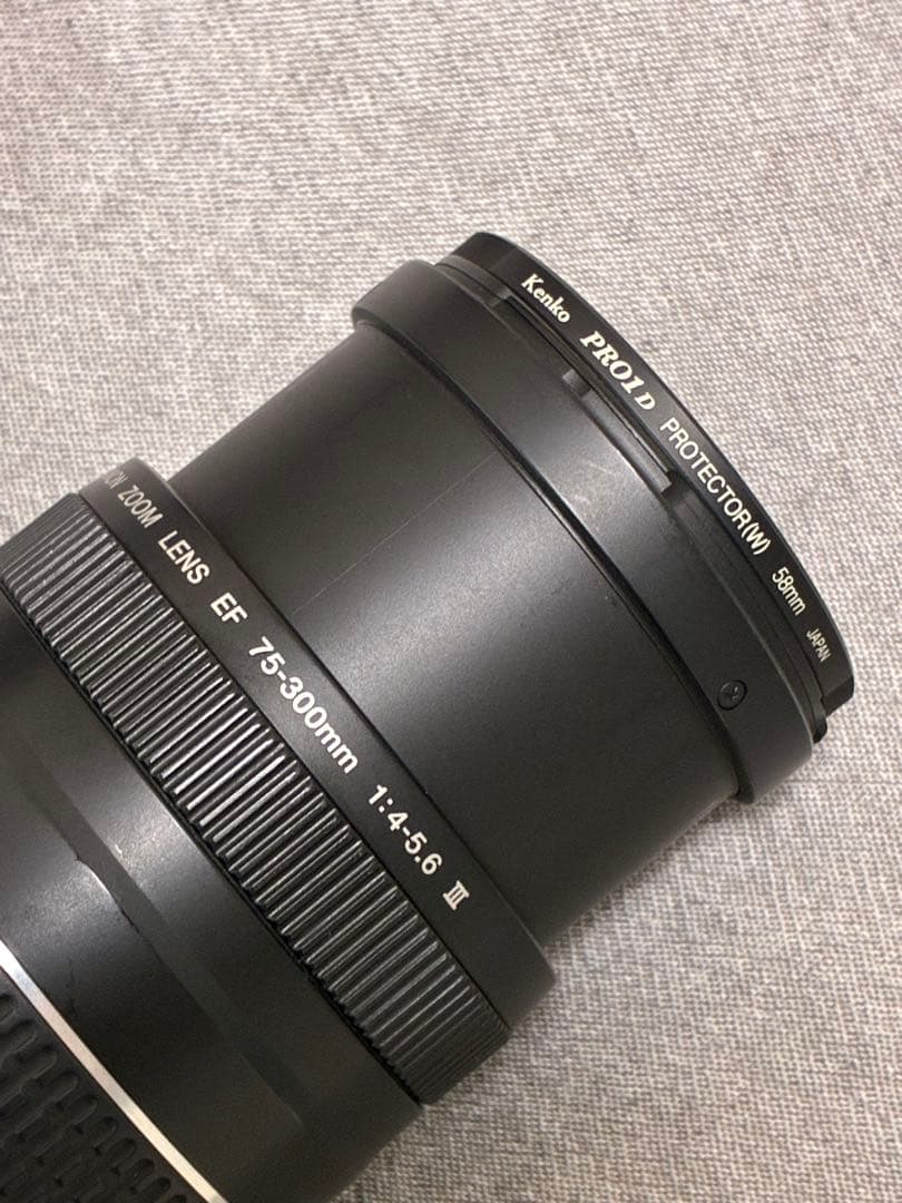 ⭐️新品フード付⭐️ Canon EF 75-300mm F4-5.6 III 望遠